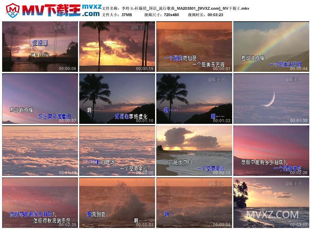 李玲玉-枉凝眉_国语_流行歌曲_MA203501
